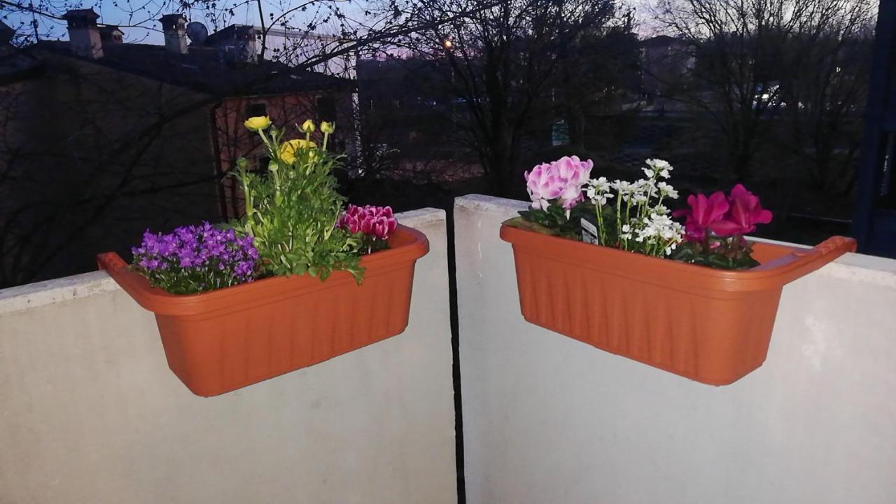 Appartamento Con Due Camere Da Letto E Free Park Verona Eksteriør billede